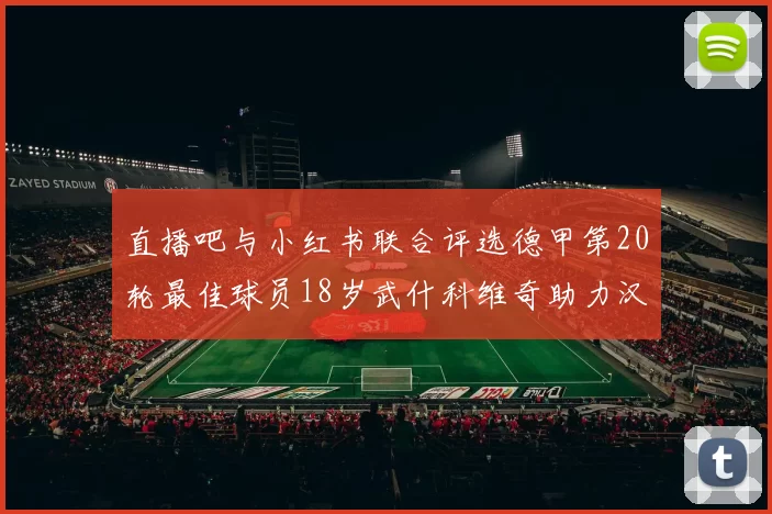直播吧与小红书联合评选德甲第20轮最佳球员18岁武什科维奇助力汉堡逼平拜仁